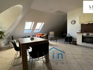 Pronájem bytu 1+kk, Olomouc, Sokolská, 52 m2