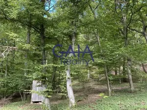 Prodej chaty, Moravany, 24 m2