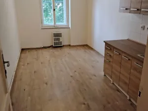 Pronájem bytu 3+kk, Praha - Nusle, Slavojova, 70 m2