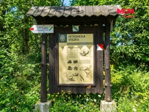 Prodej lesa, Petrovice - Žemličkova Lhota, 7042 m2