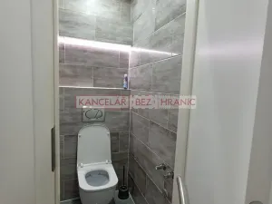 Pronájem bytu 1+1, Ostrava, U Haldy, 40 m2