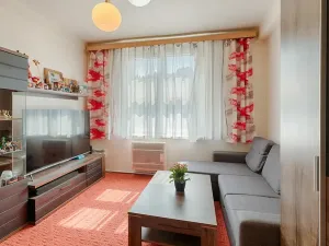 Prodej bytu 1+1, Praha - Braník, Branická, 46 m2