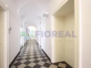 Pronájem kanceláře, Praha - Karlín, Sokolovská, 18 m2