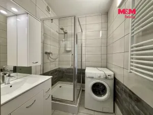 Prodej bytu 1+1, Ostrava - Hrabůvka, Cholevova, 41 m2