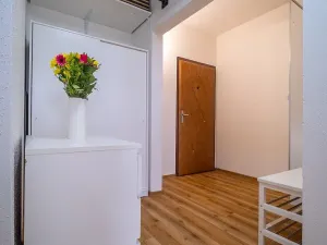 Prodej bytu 2+kk, České Budějovice - České Budějovice 2, Otavská, 46 m2