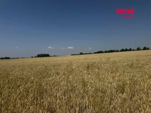 Prodej pole, Město Albrechtice, 244621 m2