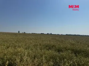 Prodej pole, Město Albrechtice, 244621 m2