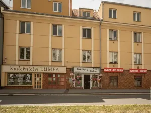 Prodej bytu 2+kk, Praha - Strašnice, Průběžná, 67 m2