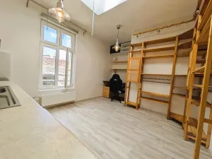 Pronájem bytu 1+1, Brno, Vlhká, 51 m2