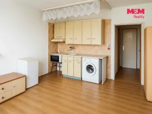 Pronájem bytu 1+kk, Milevsko, B. Němcové, 20 m2
