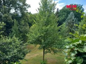 Pronájem bytu 2+1, Dalovice, Zámecká, 73 m2