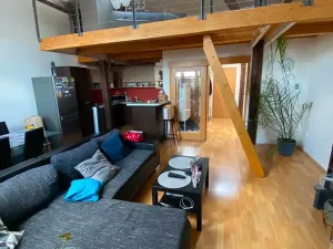 Pronájem bytu 3+kk, Brno, Jana Uhra, 136 m2