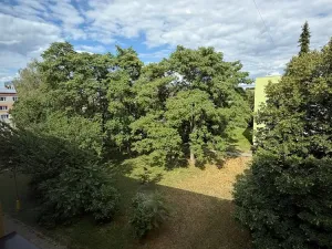 Pronájem bytu 2+1, Uherské Hradiště, Průmyslová, 55 m2
