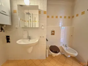 Pronájem bytu 2+kk, Praha - Vinohrady, Přemyslovská, 61 m2