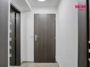 Prodej bytu 1+kk, Plzeň - Východní Předměstí, Ořechová, 26 m2