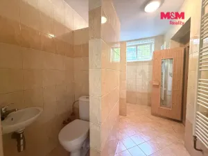 Prodej rodinného domu, Rádlo, 330 m2