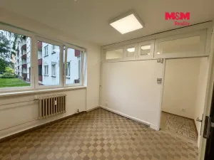 Pronájem obchodního prostoru, Ostrava - Moravská Ostrava, Zelená, 25 m2