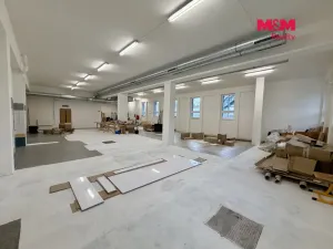 Pronájem obchodního prostoru, Ostrava - Slezská Ostrava, Šenovská, 560 m2