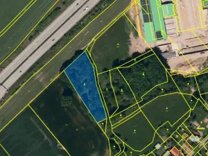 Prodej lesa, Olbramice, 4170 m2