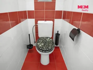 Pronájem bytu 3+1, Nupaky, U Školky, 72 m2