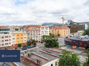 Pronájem bytu 2+kk, Praha - Nusle, Kotorská, 34 m2