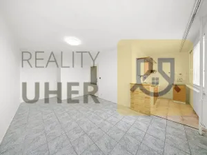 Prodej bytu 2+1, Mělník, Slovany, 51 m2