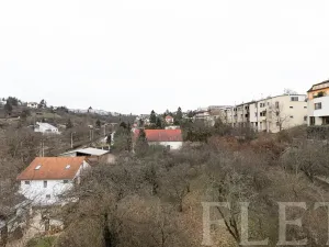 Pronájem bytu 2+1, Praha - Troja, Trojská, 74 m2