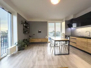 Pronájem bytu 3+kk, Plzeň, V Zahrádkách, 58 m2