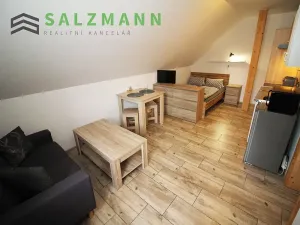 Pronájem bytu 1+kk, Železná Ruda, Špičácká, 20 m2