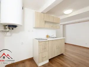 Pronájem bytu 1+1, Ostrava, Mariánskohorská, 31 m2