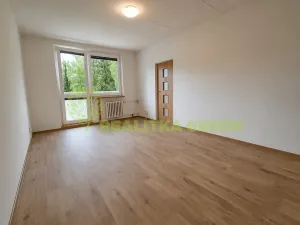 Pronájem bytu 1+1, Valašské Meziříčí, Sokolská, 41 m2