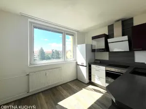 Pronájem bytu 1+1, Brno, Schwaigrova, 35 m2
