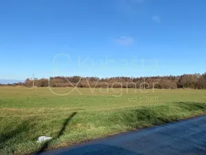 Prodej pozemku pro bydlení, Heřmanův Městec, Havlíčkova, 5663 m2