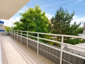 Prodej bytu 2+kk, Praha - Vršovice, U Slavie, 44 m2