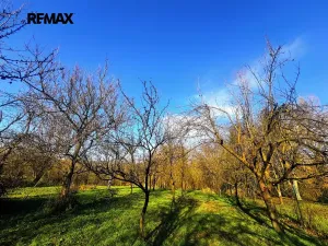 Prodej pozemku pro bydlení, Podolí, 1608 m2