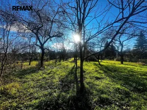 Prodej pozemku pro bydlení, Podolí, 1608 m2