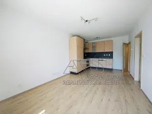 Pronájem bytu 2+kk, České Budějovice, B. Smetany, 46 m2