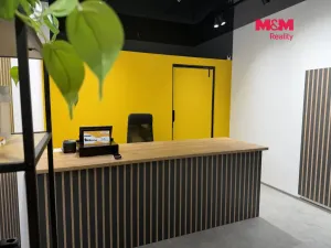 Pronájem obchodního prostoru, Brno - Brno-město, náměstí Svobody, 32 m2