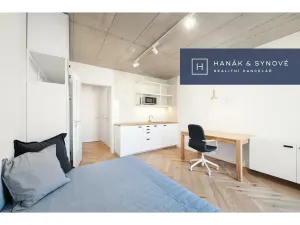 Pronájem bytu 1+kk, Brno, Chaloupkova, 23 m2