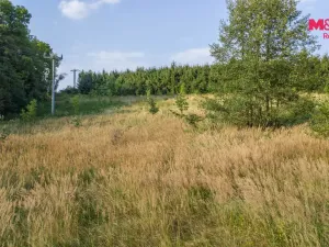 Prodej louky, Nový Bor - Janov, 5500 m2