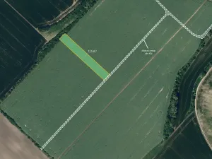 Prodej pole, Mutěnice, 2000 m2