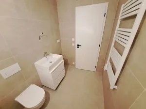 Pronájem bytu 1+kk, Brno, Koliště, 38 m2