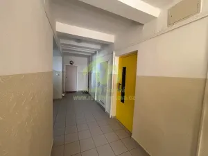 Pronájem bytu 1+1, Plzeň, Kyjevská, 45 m2