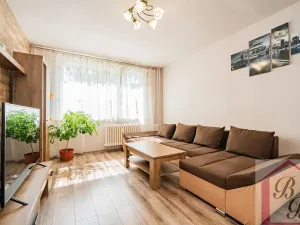 Prodej bytu 4+1, Mladá Boleslav, Mládežnická, 78 m2