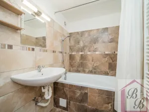 Prodej bytu 4+1, Mladá Boleslav, Mládežnická, 78 m2