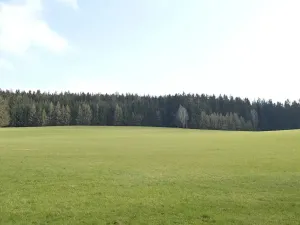 Prodej lesa, Mladkov, 5237 m2