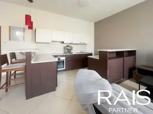 Prodej bytu 2+kk, Brno, Svitavská, 79 m2