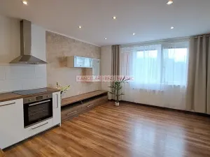 Pronájem bytu 2+kk, Ostrava, Plzeňská, 56 m2