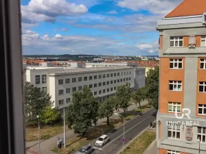 Prodej bytu 3+1, Brno - Veveří, Kounicova, 120 m2