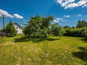 Prodej rodinného domu, Cvikov, Nová, 169 m2